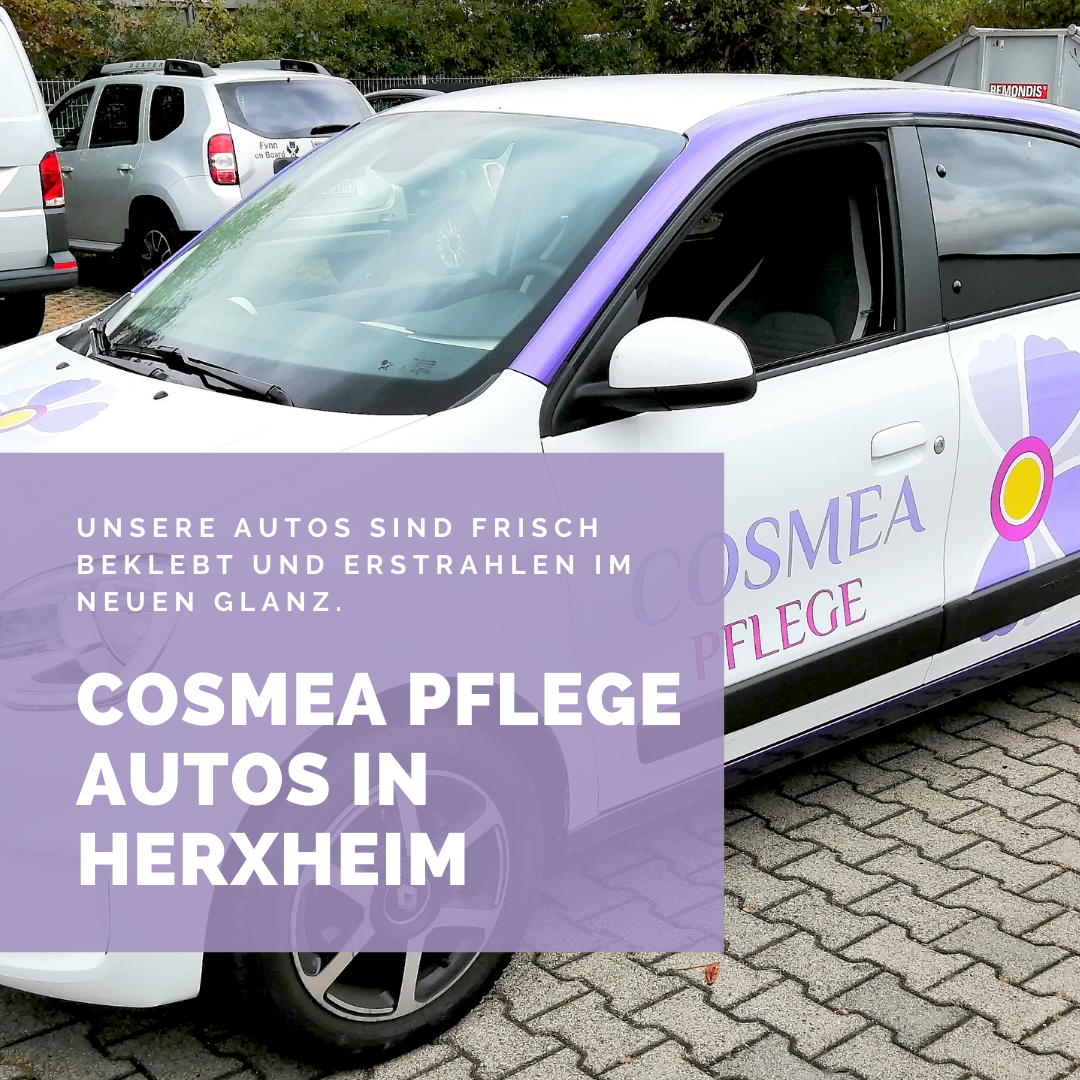 Neue Cosmea Pflege Autos in Herxheim bei Landau in der Pfalz